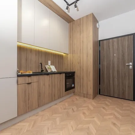 公寓 Premium Grunwaldzka 25a 比得哥什